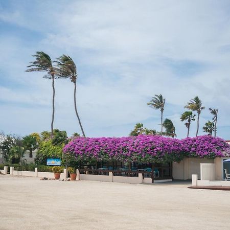 Aruba Beach Villas Palm Beach Exteriör bild