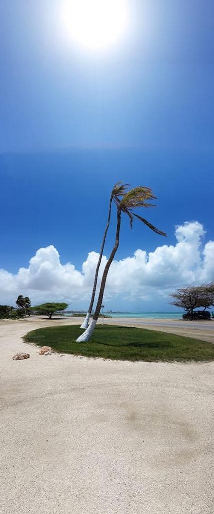 Aruba Beach Villas Palm Beach Exteriör bild